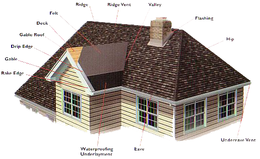 rooftermspicture
